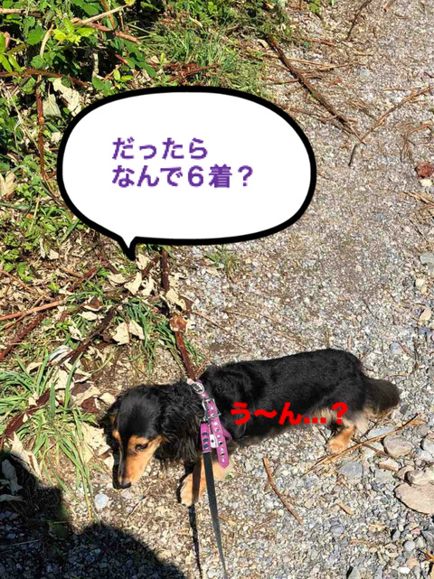 BlogPaint