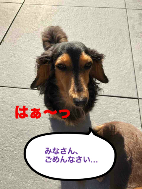BlogPaint