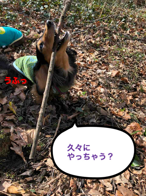 BlogPaint