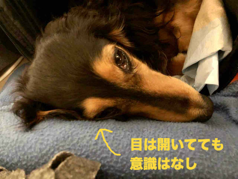 BlogPaint