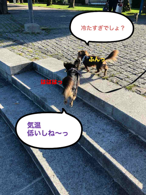 BlogPaint