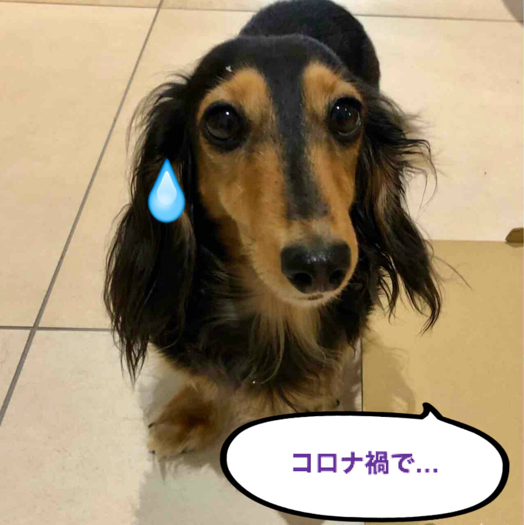 Potato S Family In Switzerland 見下されるのは 貧相な容姿のせい