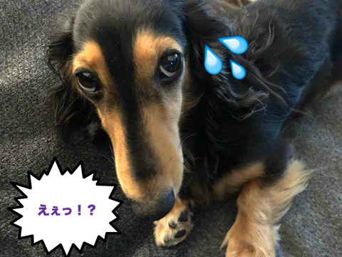 BlogPaint
