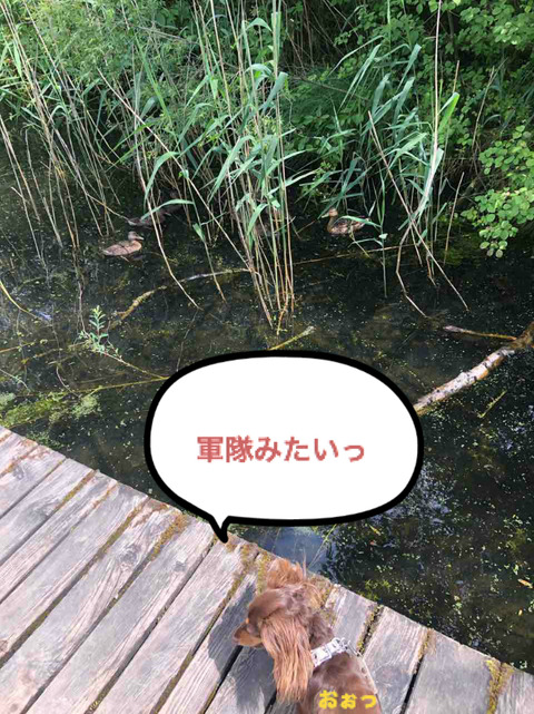 BlogPaint
