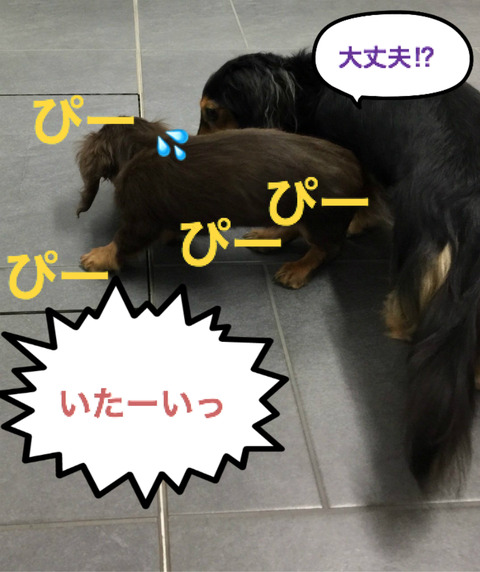 BlogPaint