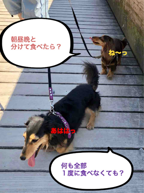 BlogPaint