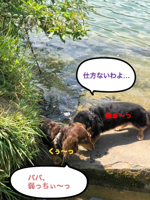 BlogPaint