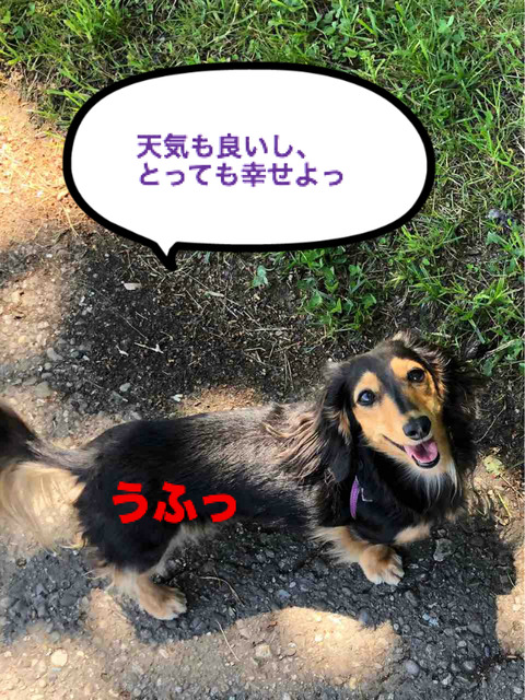 BlogPaint