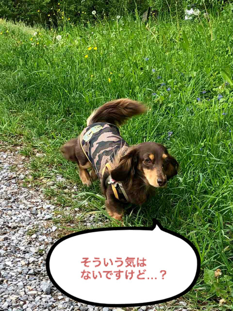 BlogPaint