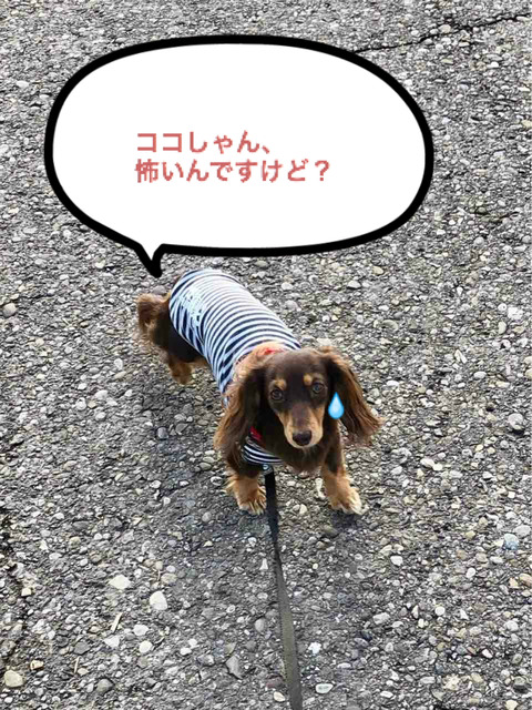 BlogPaint
