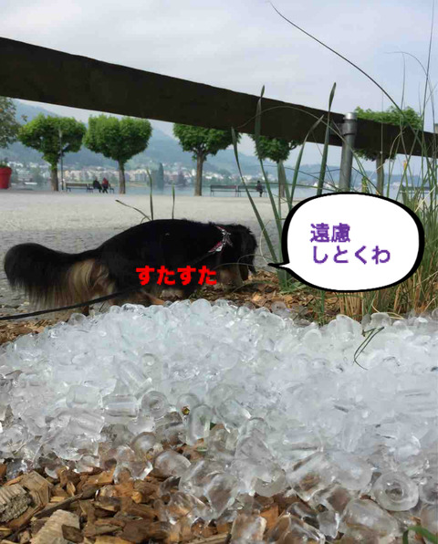 BlogPaint