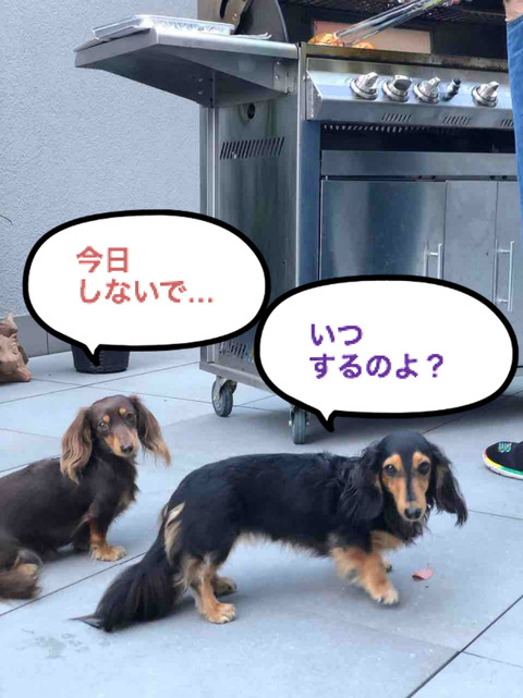 BlogPaint