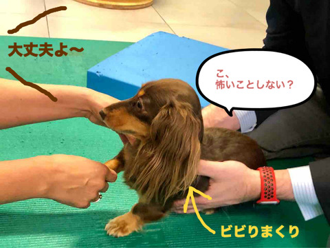 BlogPaint