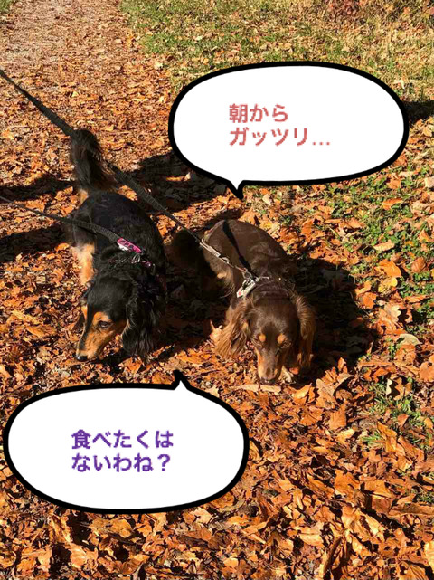 BlogPaint