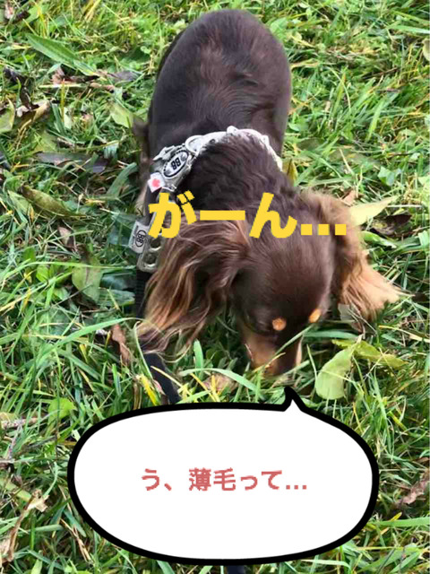 BlogPaint