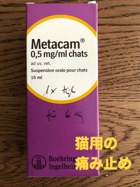 BlogPaint