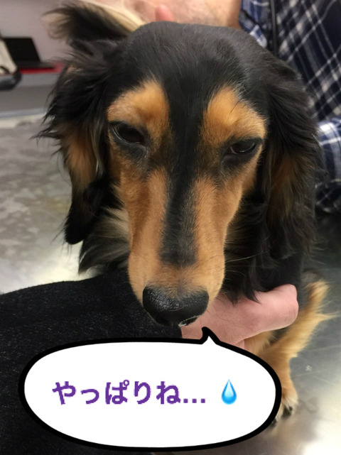 BlogPaint