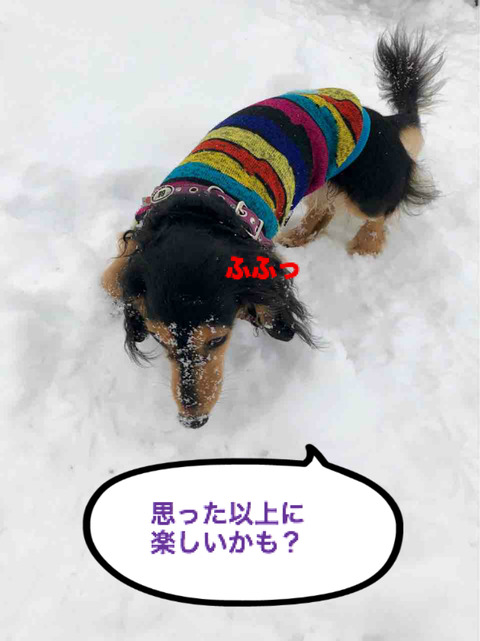 BlogPaint
