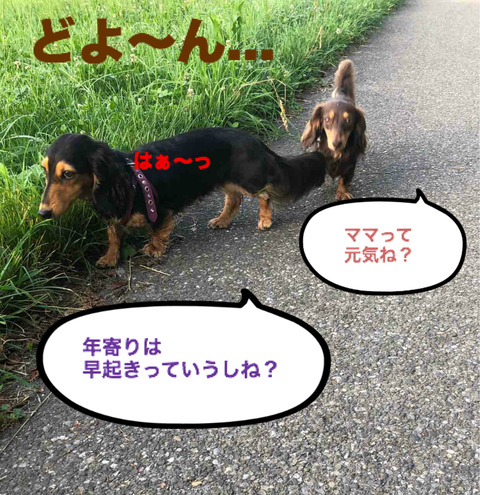 BlogPaint
