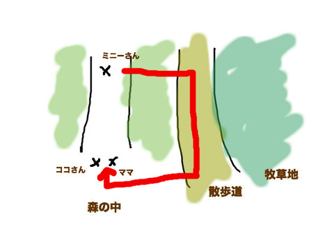 BlogPaint