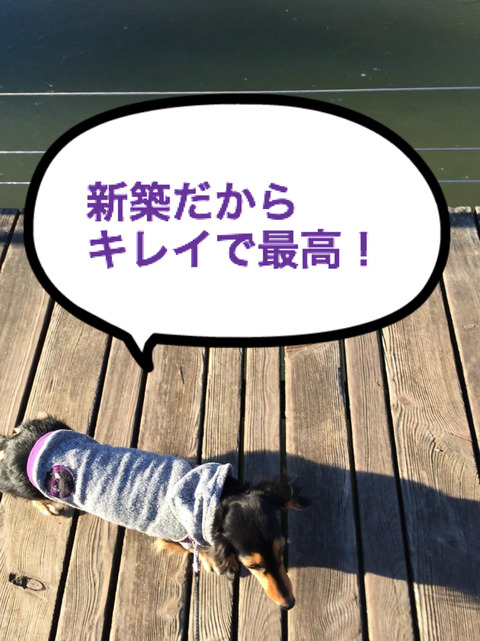 BlogPaint