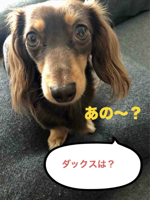 BlogPaint