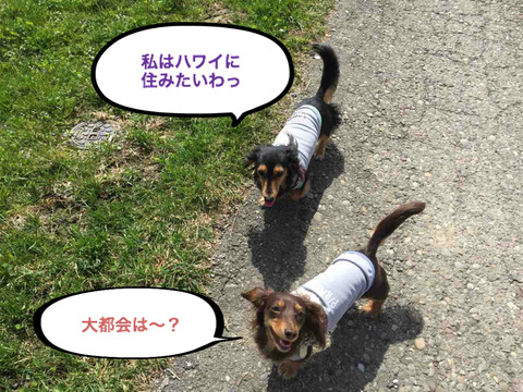 BlogPaint