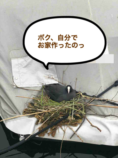 BlogPaint