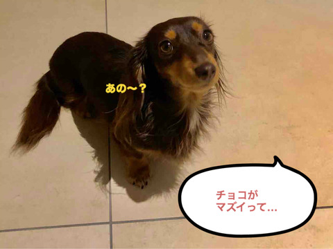 BlogPaint