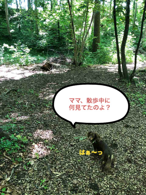 BlogPaint