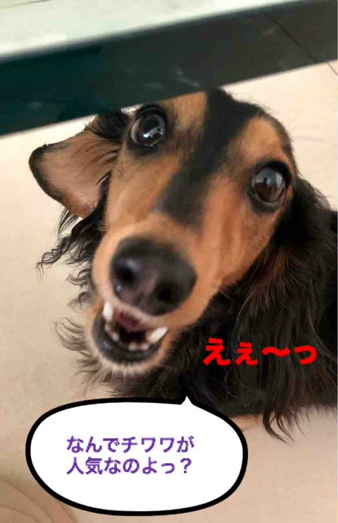BlogPaint