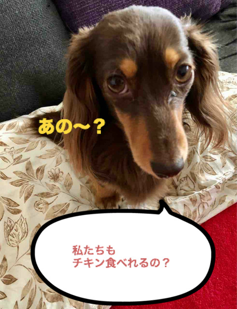 BlogPaint