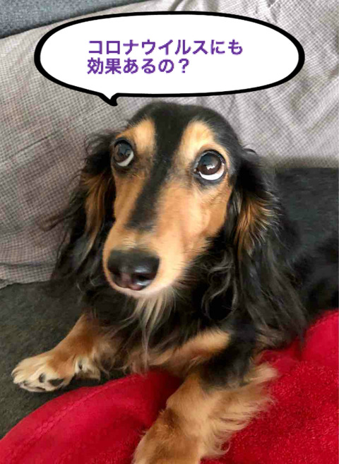 BlogPaint