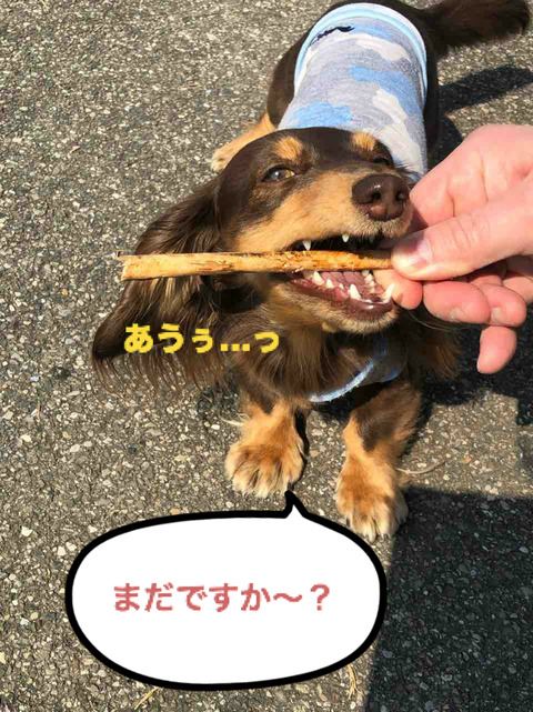 BlogPaint