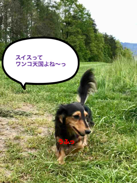 BlogPaint