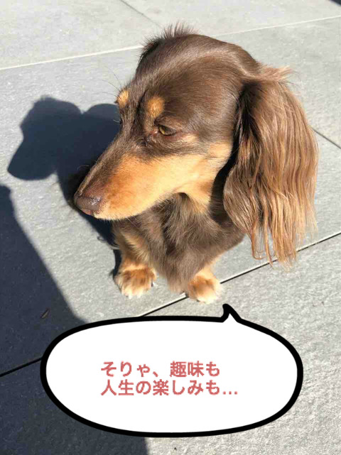 BlogPaint