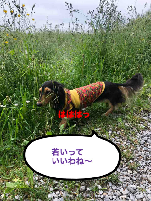 BlogPaint