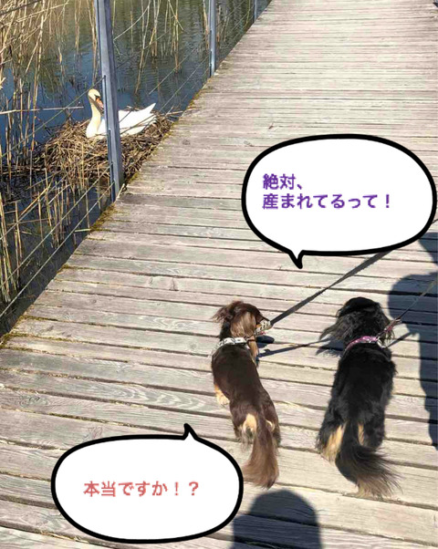 BlogPaint