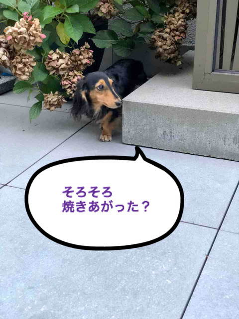 BlogPaint