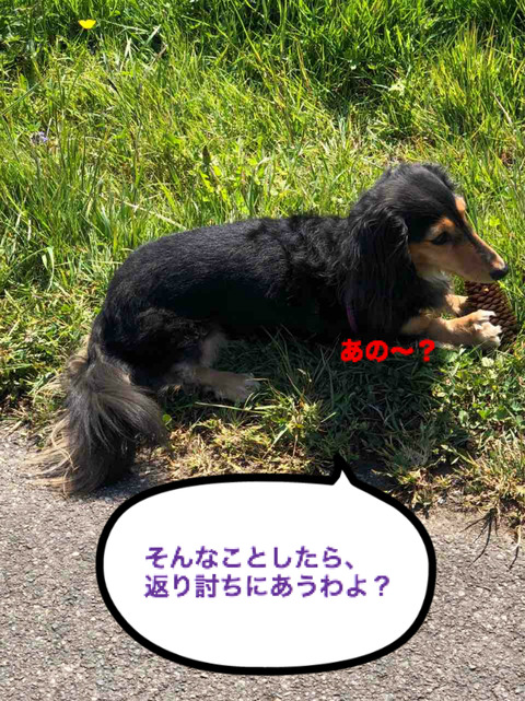 BlogPaint