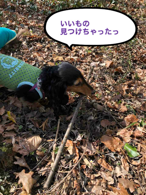 BlogPaint