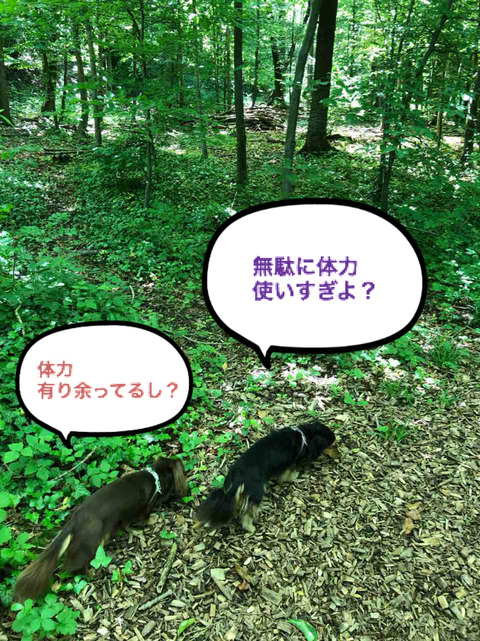 BlogPaint