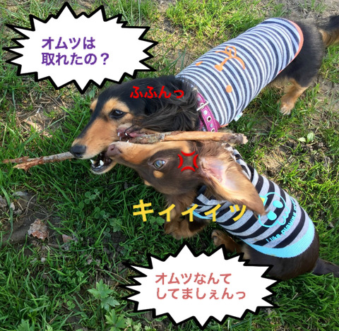 BlogPaint