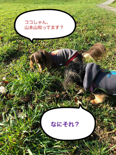 BlogPaint