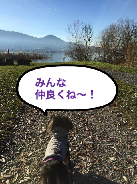 BlogPaint