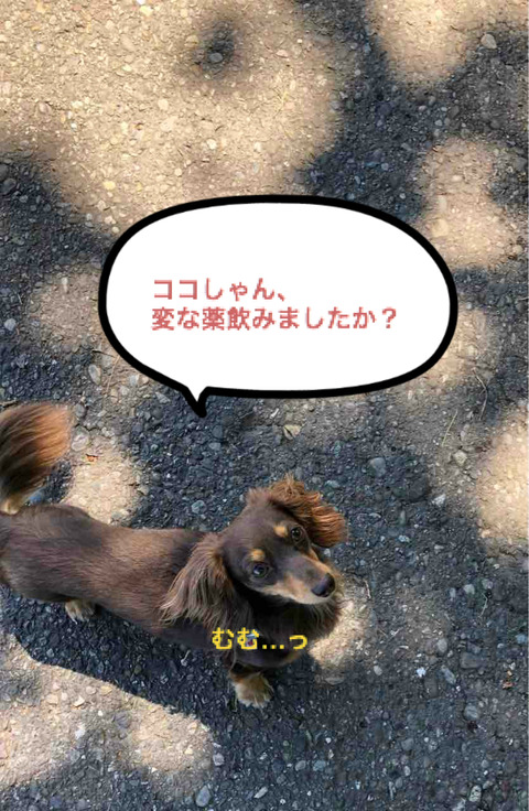 BlogPaint