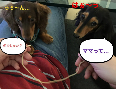 BlogPaint