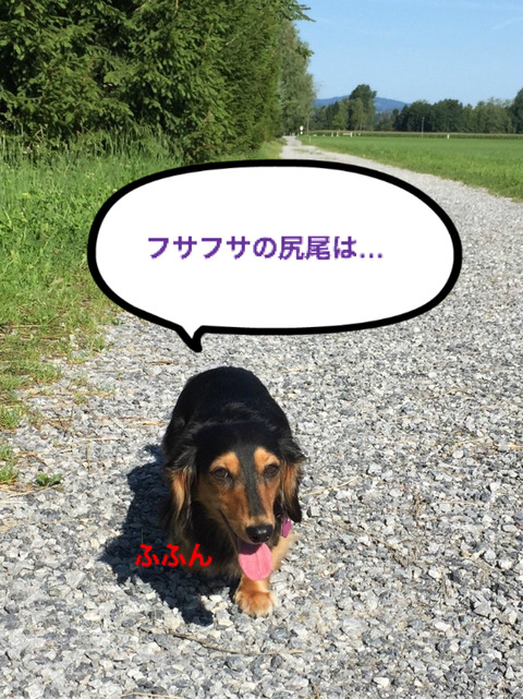 BlogPaint