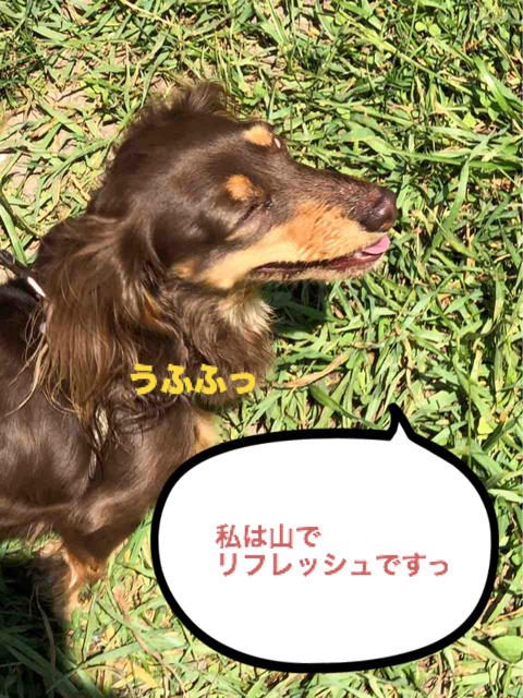 BlogPaint