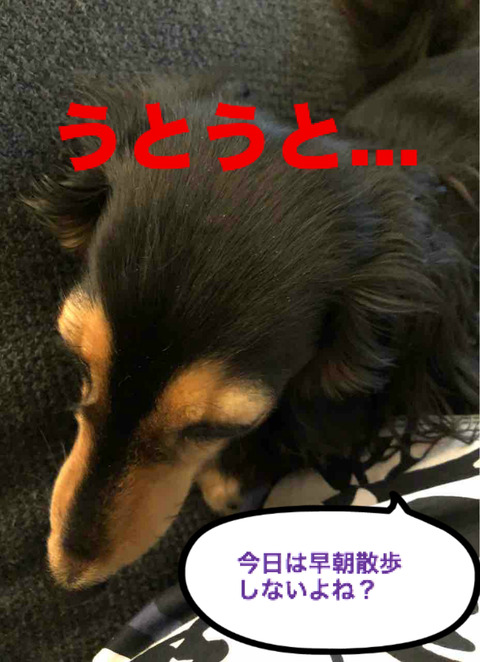 BlogPaint